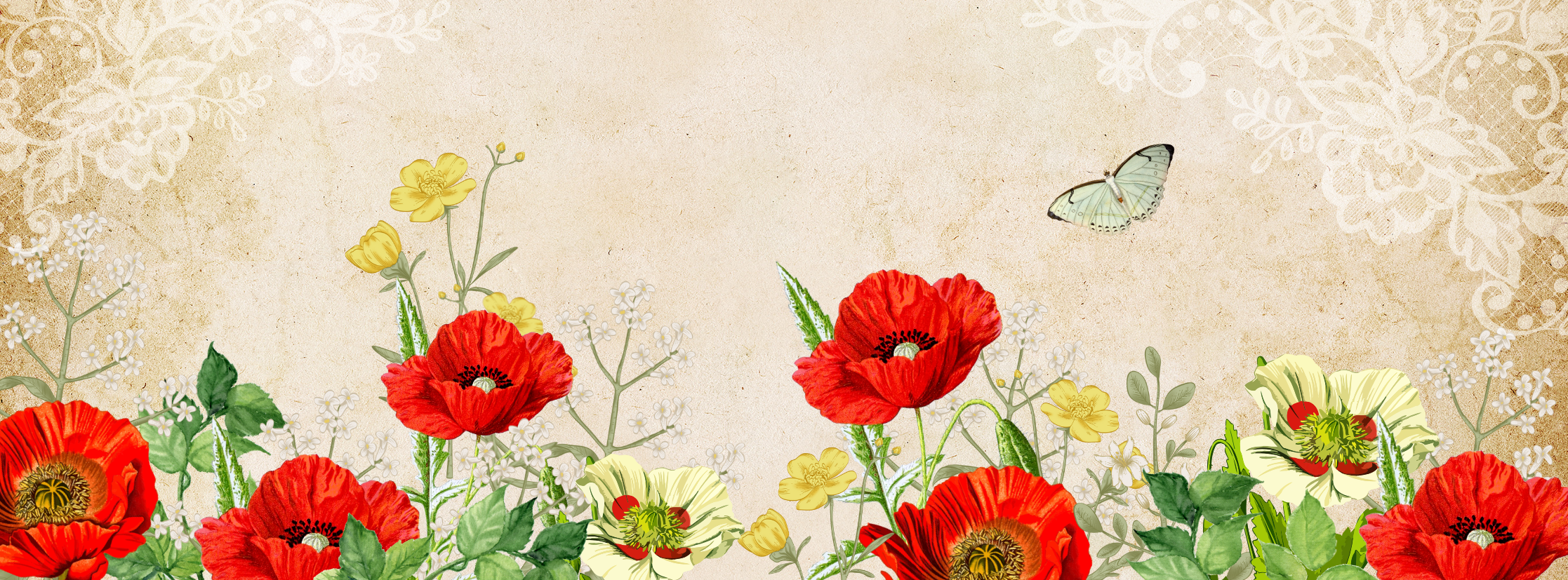 collection-banner-image